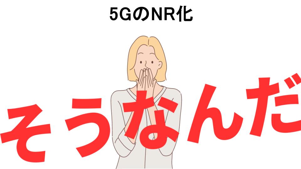 意味ないと思う人におすすめ！5GのNR化の代わり